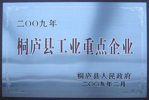 重點(diǎn)企業(yè)