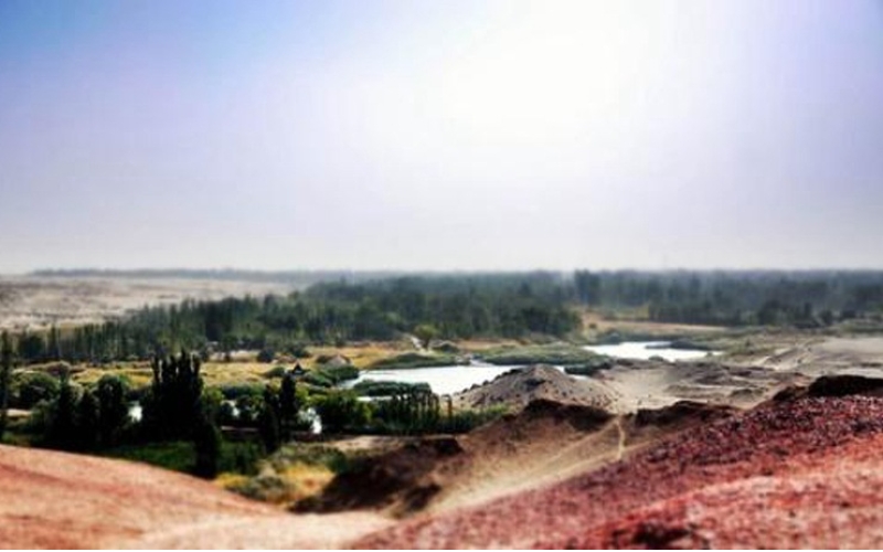 敦煌市2個(gè)村入列國家森林鄉(xiāng)村名單